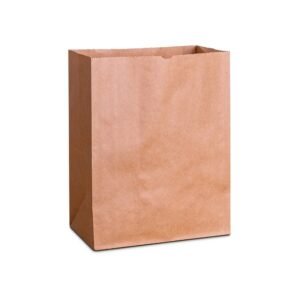 SACO KRAFT 29X20X35 G LISO C/100 KAMP