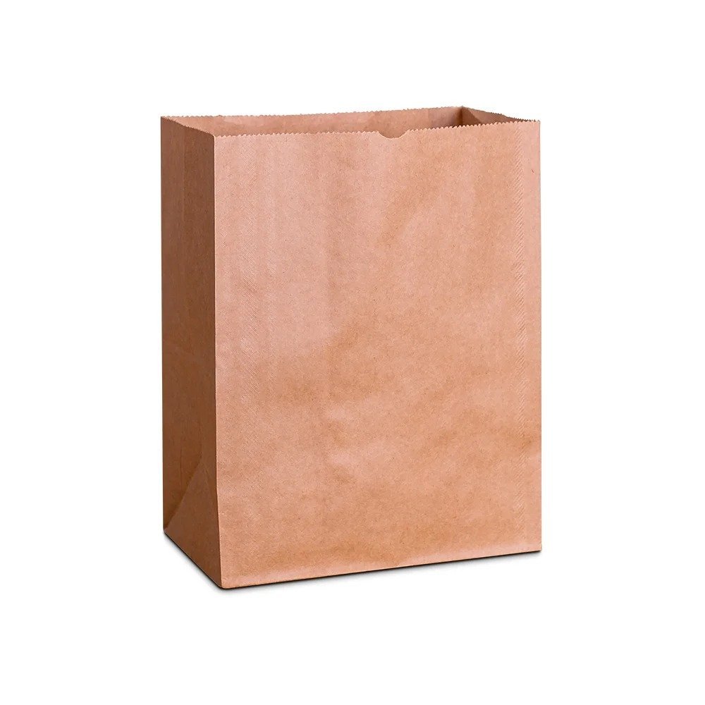 SACO KRAFT 29X20X35 G LISO C/100 KAMP