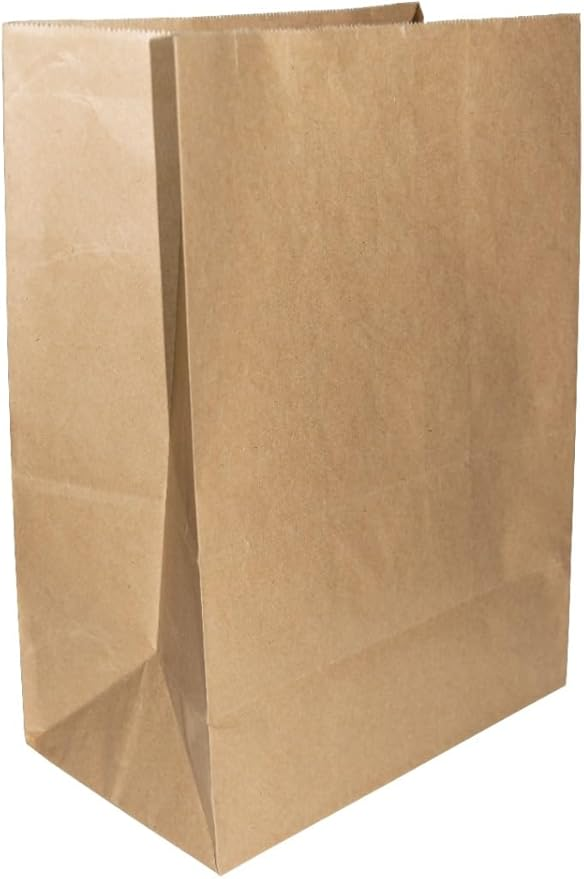 SACO KRAFT 31X20X39 GG LISO C/100 KAMP