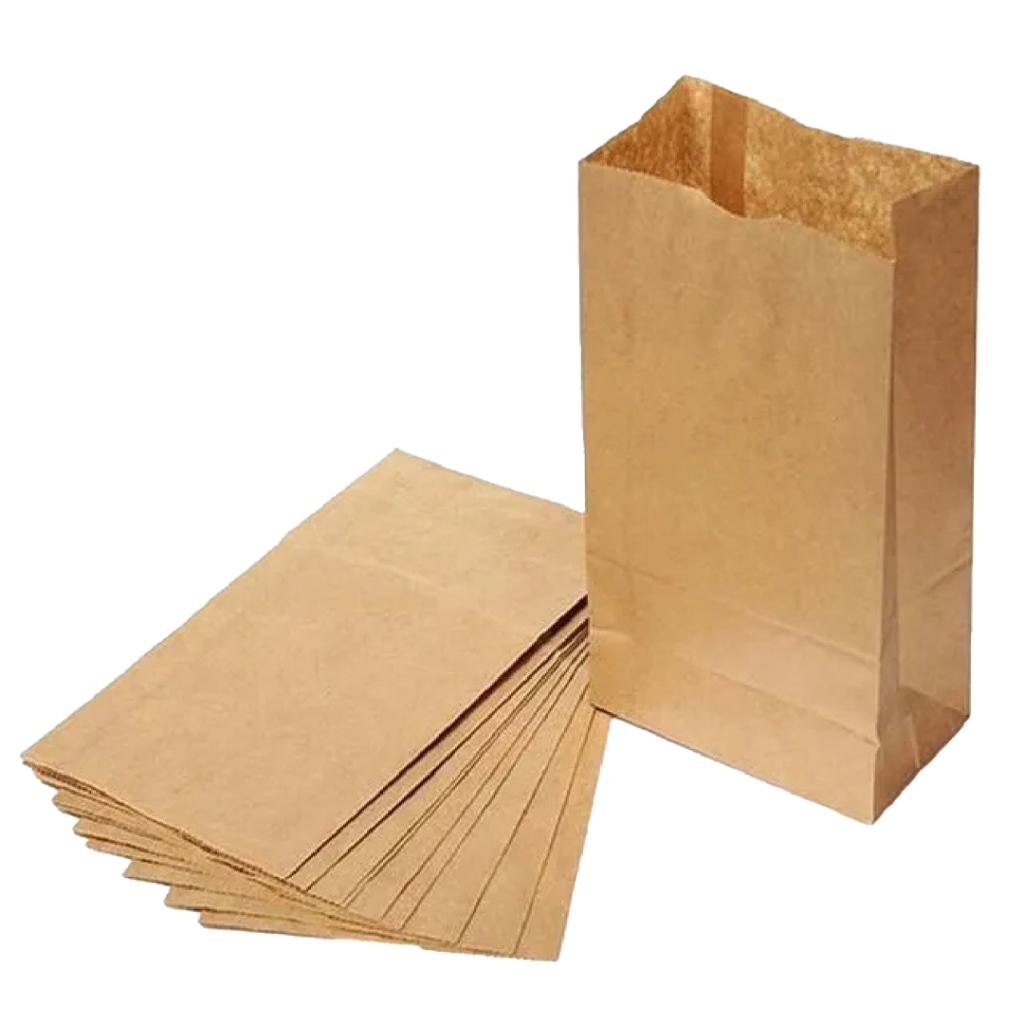 SACO KRAFT 24X15X37 M LISO C/100 KAMP